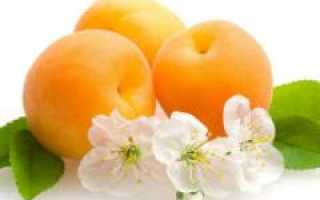 Польза и применение абрикосового масла для лица