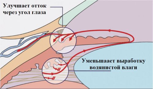 Эффекты Арутимола