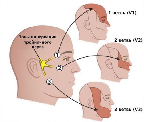 Тройничный нервв