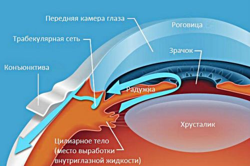 Внутриглазное давление