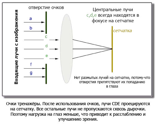 Принцип действия очков-тренажеров