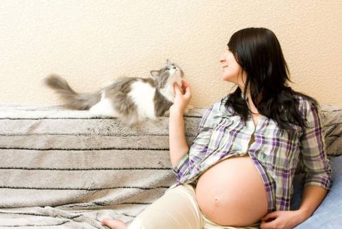 Беременная женщина с кошкой