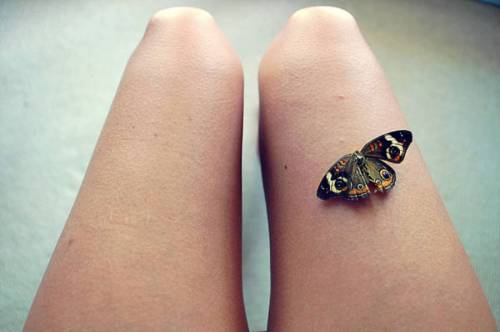 Бабочка на ноге