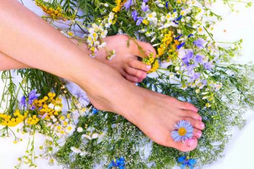 Лекарственные травы от потливости ног